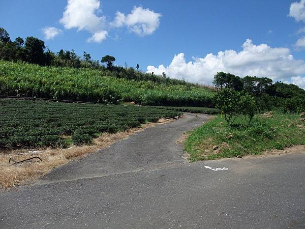 源茂山、源茂山西峰 (15).JPG