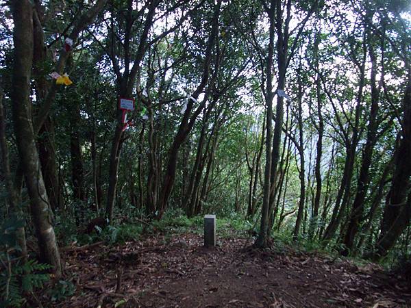 源茂山、源茂山西峰 (25).JPG