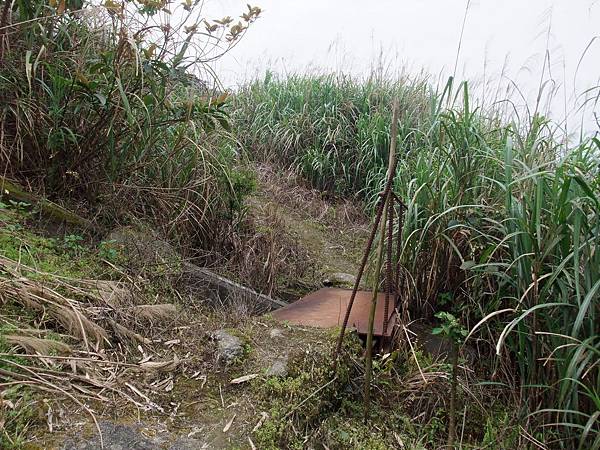 源茂山、源茂山西峰 (55).JPG