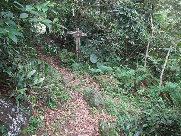 源茂山、源茂山西峰 (63).JPG