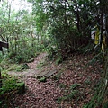 源茂山、源茂山西峰 (62).JPG