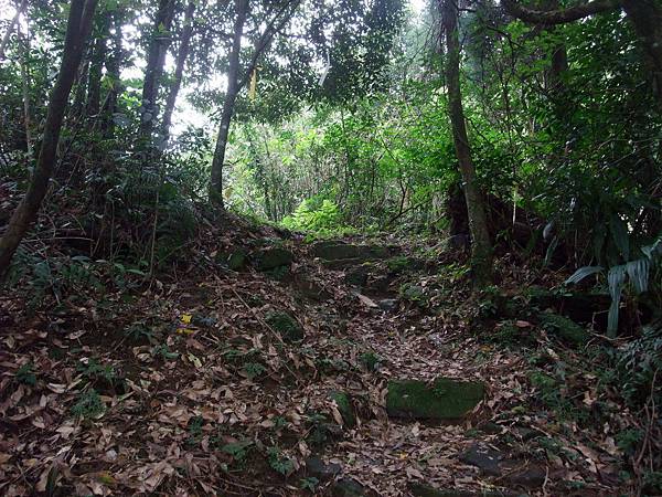 源茂山、源茂山西峰 (65).JPG