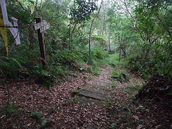 源茂山、源茂山西峰 (64).JPG