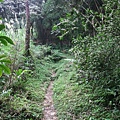 源茂山、源茂山西峰 (66).JPG