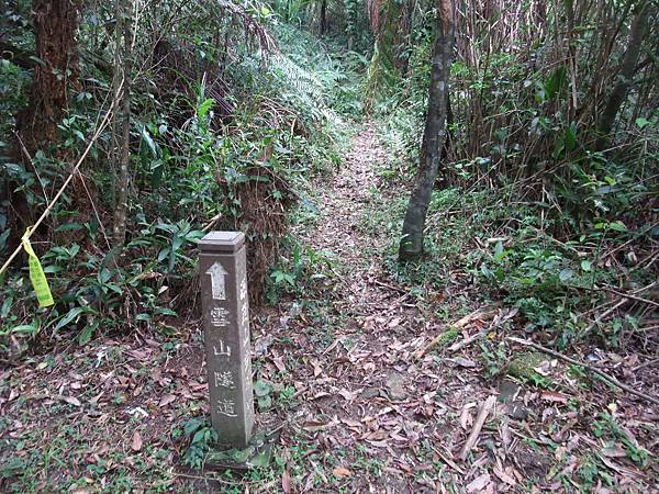 源茂山、源茂山西峰 (69).JPG