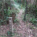 源茂山、源茂山西峰 (69).JPG