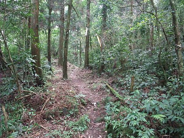 源茂山、源茂山西峰 (71).JPG