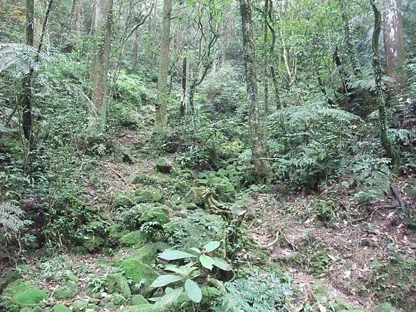 源茂山、源茂山西峰 (72).JPG