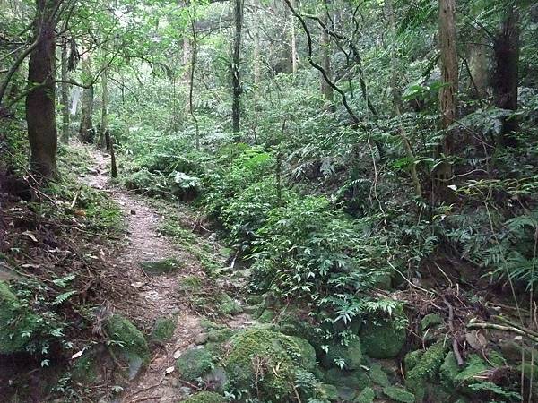 源茂山、源茂山西峰 (73).JPG