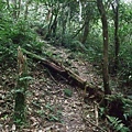 源茂山、源茂山西峰 (81).JPG