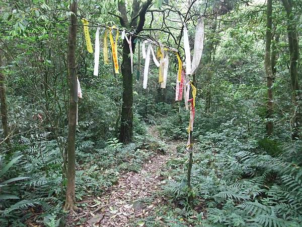 源茂山、源茂山西峰 (85).JPG