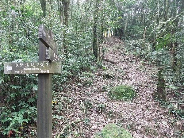 源茂山、源茂山西峰 (86).JPG