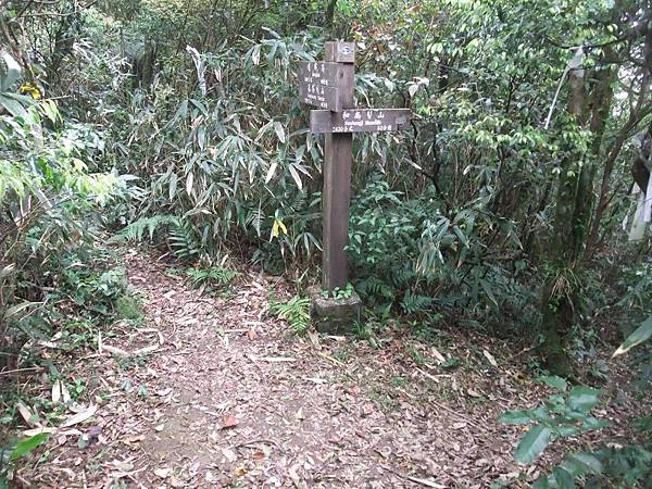 源茂山、源茂山西峰 (87).JPG