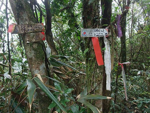 源茂山、源茂山西峰 (89).JPG