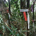 源茂山、源茂山西峰 (89).JPG