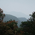 源茂山、源茂山西峰 (98).JPG