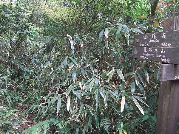 源茂山、源茂山西峰 (106).JPG