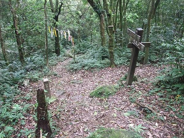 源茂山、源茂山西峰 (107).JPG