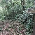 源茂山、源茂山西峰 (109).JPG