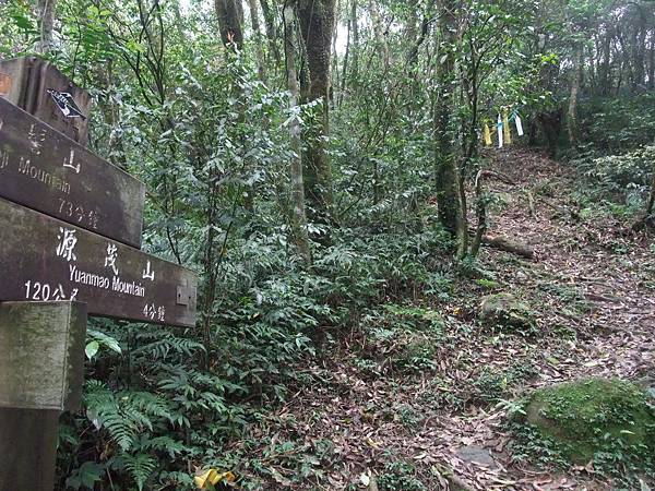 源茂山、源茂山西峰 (110).JPG