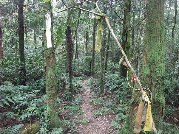 源茂山、源茂山西峰 (111).JPG