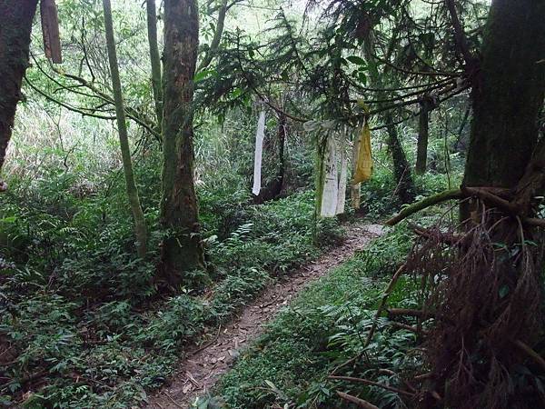 源茂山、源茂山西峰 (113).JPG