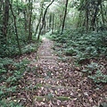 源茂山、源茂山西峰 (117).JPG