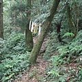 源茂山、源茂山西峰 (121).JPG