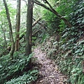 源茂山、源茂山西峰 (123).JPG