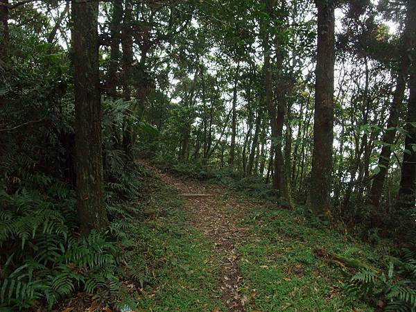 源茂山、源茂山西峰 (124).JPG