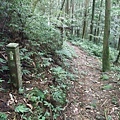 源茂山、源茂山西峰 (130).JPG