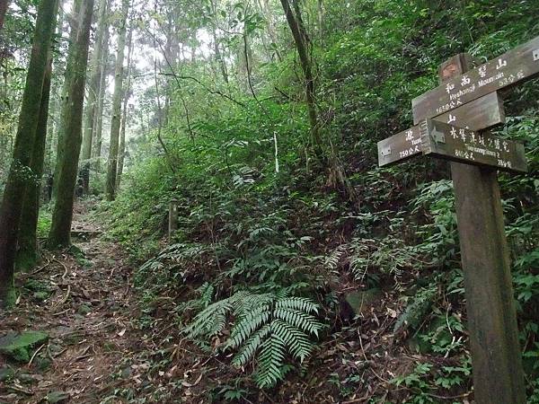 源茂山、源茂山西峰 (134).JPG