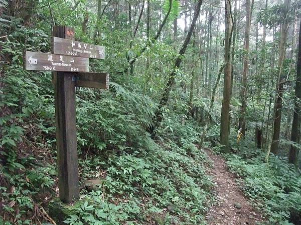 源茂山、源茂山西峰 (135).JPG