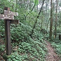 源茂山、源茂山西峰 (135).JPG