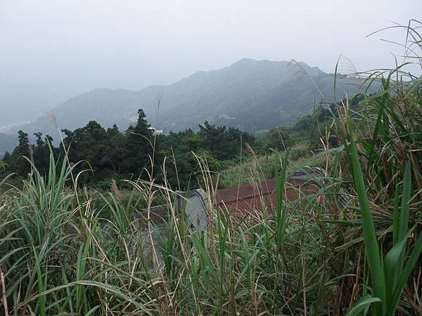 源茂山、源茂山西峰 (158).JPG