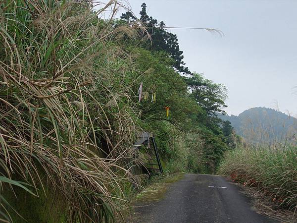 源茂山、源茂山西峰 (160).JPG