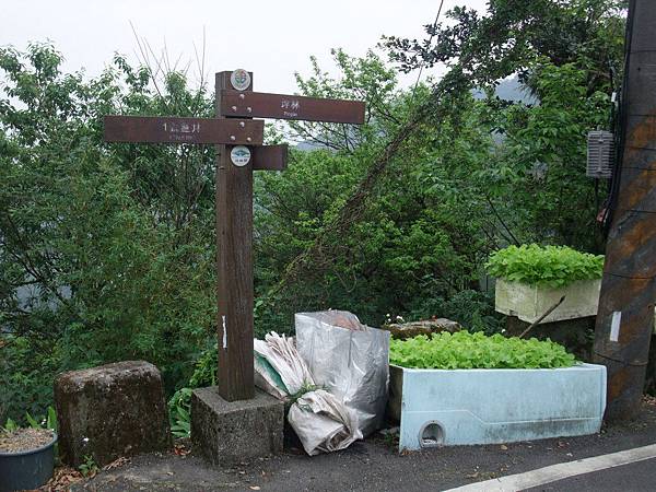 源茂山、源茂山西峰 (164).JPG