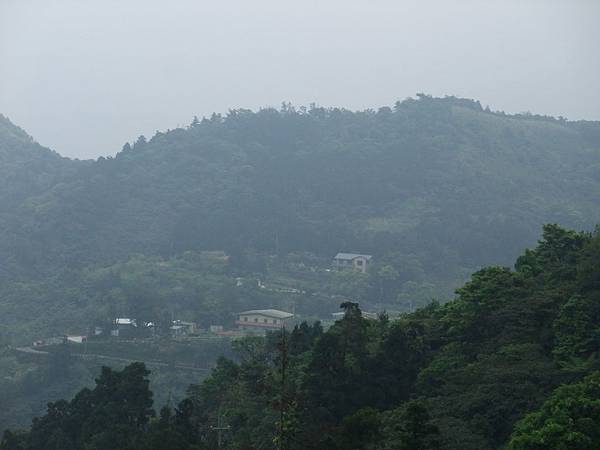 源茂山、源茂山西峰 (163).JPG