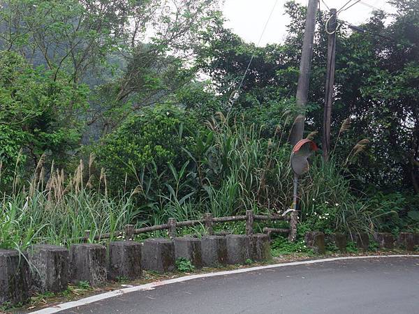 源茂山、源茂山西峰 (167).JPG