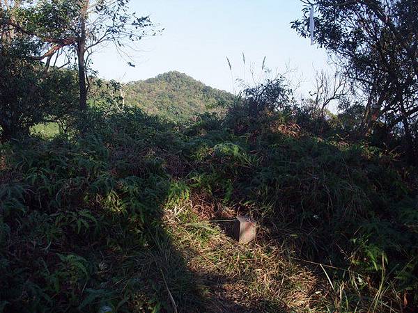 西湖山、小金面山 (25).JPG