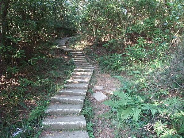 西湖山、小金面山 (50).JPG