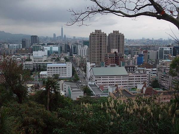 西湖山、小金面山 (69).JPG