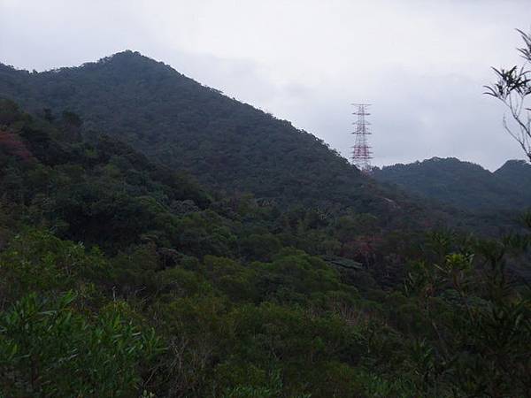 西湖山、小金面山 (123).JPG