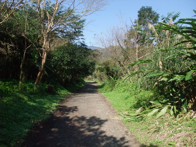 九寮溪自然步道 (27).jpg