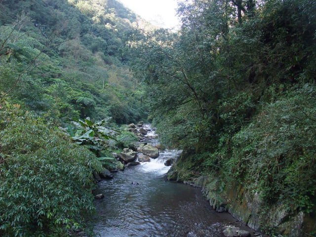 九寮溪自然步道 (49).jpg