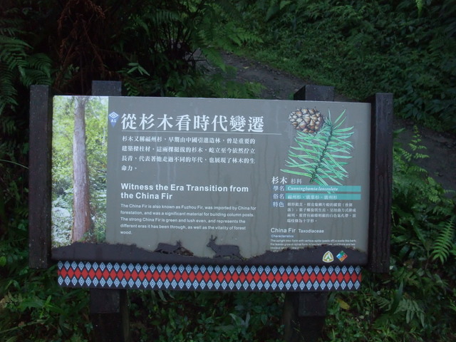 九寮溪自然步道 (53).jpg