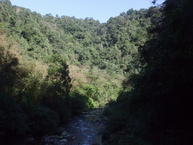 九寮溪自然步道 (59).jpg