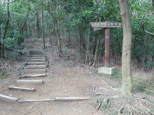 金面山、剪刀石山 (31).JPG