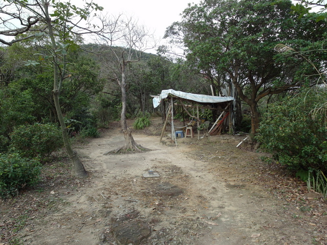 金面山、剪刀石山 (40).JPG