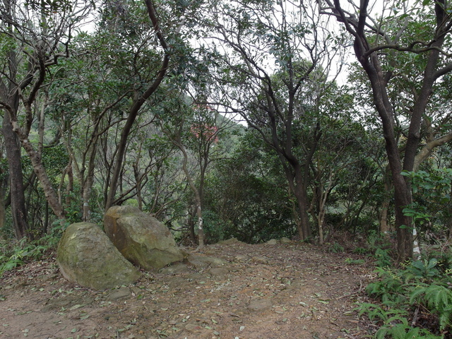 金面山、剪刀石山 (46).JPG